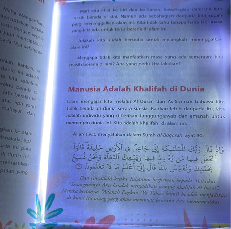 BookGlow™ Portable LED Book Light